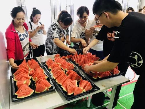 装修建材吃瓜群众,吃瓜群众看装修