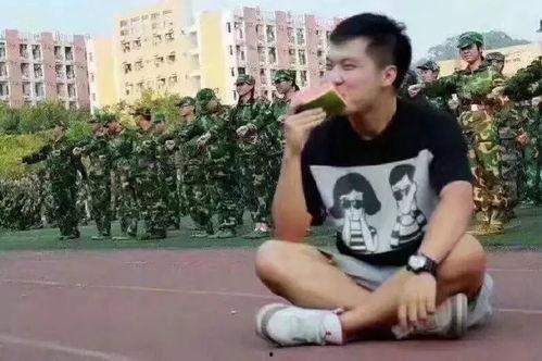 苏晗吃瓜群众,吃瓜群众的视角，揭秘娱乐圈风云