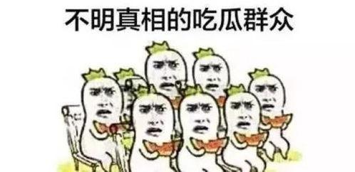 小花仙吃瓜群众视频大全,揭秘热门视频背后的趣味故事