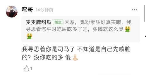 大声吃瓜群众怎么说,网络热词背后的文化现象