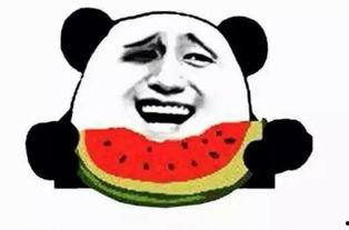 我是吃瓜群众看热闹,围观娱乐圈的热闹瞬间