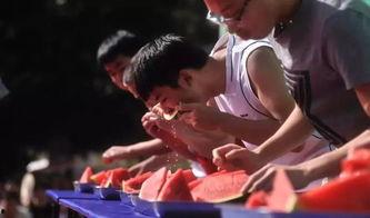 吃瓜群众调酒师,揭秘酒香四溢的神秘世界