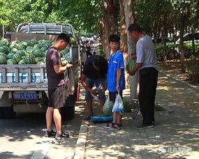 翔安吃瓜群众事件视频曝光,视频曝光揭示惊人真相