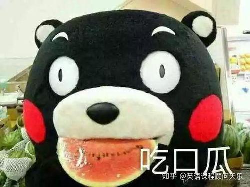 艰难的吃瓜群众怎么形容,揭秘网络舆论场的众生相