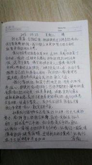 吃瓜群众的800字作文,吃瓜群众视角下的社会百态