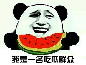 浙江吃瓜群众是谁,他们是谁,为何如此热议?