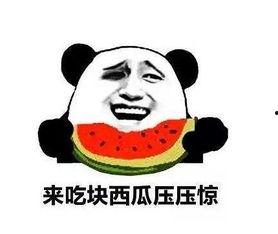 浙江吃瓜群众是谁,他们是谁,为何如此热议?