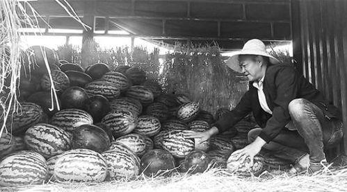 会昌吃瓜群众事件,一场网络舆论的风暴与反思