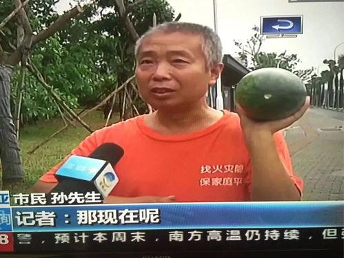 热点事件吃瓜群众,吃瓜群众视角下的真相与争议