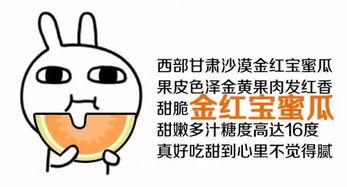 吃瓜群众都想吃吗,探寻网络热词背后的文化现象