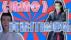 陈情令大型群众吃瓜现场,揭秘幕后故事与精彩瞬间