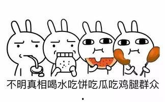 吃瓜群众代表的歌,揭秘娱乐圈背后的故事