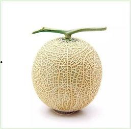 吃瓜群众委员会,网络舆论场中的监督者与传播者